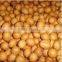 Butter Peanuts Processing Line