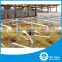 factory supply cattle stall with high processing