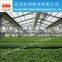 Anping high quality plastic flower ebb and flood benches rolling trays