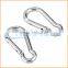 Fashion High Quality carabiner with split ring