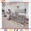 SLG65-III snacks food extruder