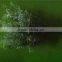 Home and outdoor garden edging christmas decoration 60cm or 24inches Height artificial small grass for green wall E04 1035