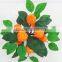 High quality atificial Orange tree bonsai real touch wholesale for indoor & outdoor decoration