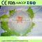Top Brand Chinese Longkou Vermicelli Noodle