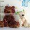 Genuine Child Plush Toy Doll Birthday Gift Teddy Bear Size couple pair