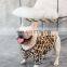Cool Pet fat dog leopard print jacket Bulldog puppy Letter Clothes small-breed dog