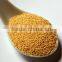High Quality Amaranth seeds at your door step