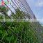 656 Double Wire Mesh Fence 868 Fence Panel Iso 9001