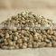 Robusta Coffee Beans