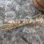 Bulk In Different Size 8'' 9'' 10'' 12'' 2021 Indian Bamboo Sticks For Agarbatti