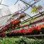 Thermal Screen for Greenhouse