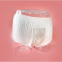 Sanitary Napkin