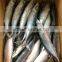 HACCP and EU Pacific mackerel fish frozen mackerel prices