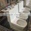 High Watertank One Piece Toilet