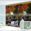Colorful shangri-la blind/soft blind ready made