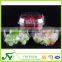 Portable disposable clear plastic clamshell salad bowl