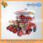 New Products Agricultural Farm Pneumatic Precision 5-row Potato Seed Equipment