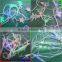 Outdoor RGB Christmas lights,Festival light,LED christmas light