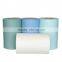 Disposable Cloth Nonpp Non Woven Polyester Roll Wiper Fabric Clean Paper Manufacturer