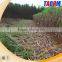 Harvester product,mini combine sugar cane harvester SH15 for sugarcane