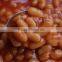 Canned White Kidney Beans In Tomato Sauce