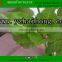 Artificial pipal tree leaves/fake linden leaf /artificial linden leaves/plastic pipal fronds