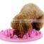 Wholesale 100% food grade silicone pet bowls