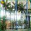 factory direct sale artificial coconut palm tree
