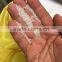 Prilled Urea N 46%min with 1 MT bag