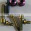DIN 912 ISO 7380 Titanium Bolt /screw for Mountain Bike Made in China