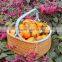 Rattan woven fruits vegetables basket