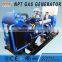 biomass chp generator