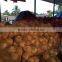 FULL HUSKED COCONUT / SEMI HUSKED COCONUT- QQ : 2290755420