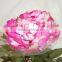 Wholesale artificial flower peony 2 stem artificial flower peony