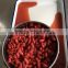Private lable canned red kidney beans sell to Dammam