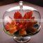 plates dishes dinnerware type glass cake stand