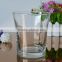 Wholesale transparent glass vase for flower/flower container