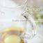 borosilicate glass teapot with straine