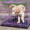 Made in China hot dip galvanized metal mesh pet cages