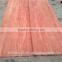 PLB veneer