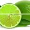 Fresh lime and lemon