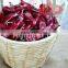 Chinese supplier wholesales export dried red chilli import from china