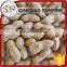 Import export peanuts in shell buyers