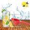 HL-5 lemon squeezer industrial fruit press juice device