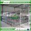 Hot Sale for China Egg Chicken Cage(ISO9001) for Poultry Farming