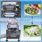 Hot Selling Boiled Egg Peeling Machine