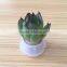 Creative Mini Plant Keychain, Glass Potted Meaty Cactus Plant Design Personality Decorative Keychain Micro Mini Gift Keychain