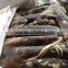 jakarta supplier seafood of giant squid
