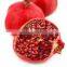 Pomegranate Oil