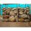 GABION BOX